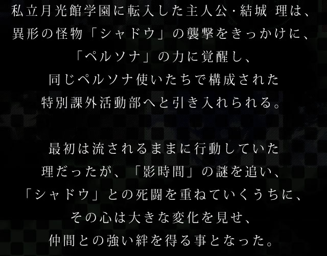 私立月光館学園に転入した主人公・結城 理は、異形の怪物「シャドウ」の襲撃をきっかけに、「ペルソナ」の力に覚醒し、同じペルソナ使いたちで構成された特別課外活動部へと引き入れられる。最初は流されるままに行動していた理だったが、「影時間」の謎を追い、「シャドウ」との死闘を重ねていくうちに、その心は大きな変化を見せ、仲間との強い絆を得る事となった。